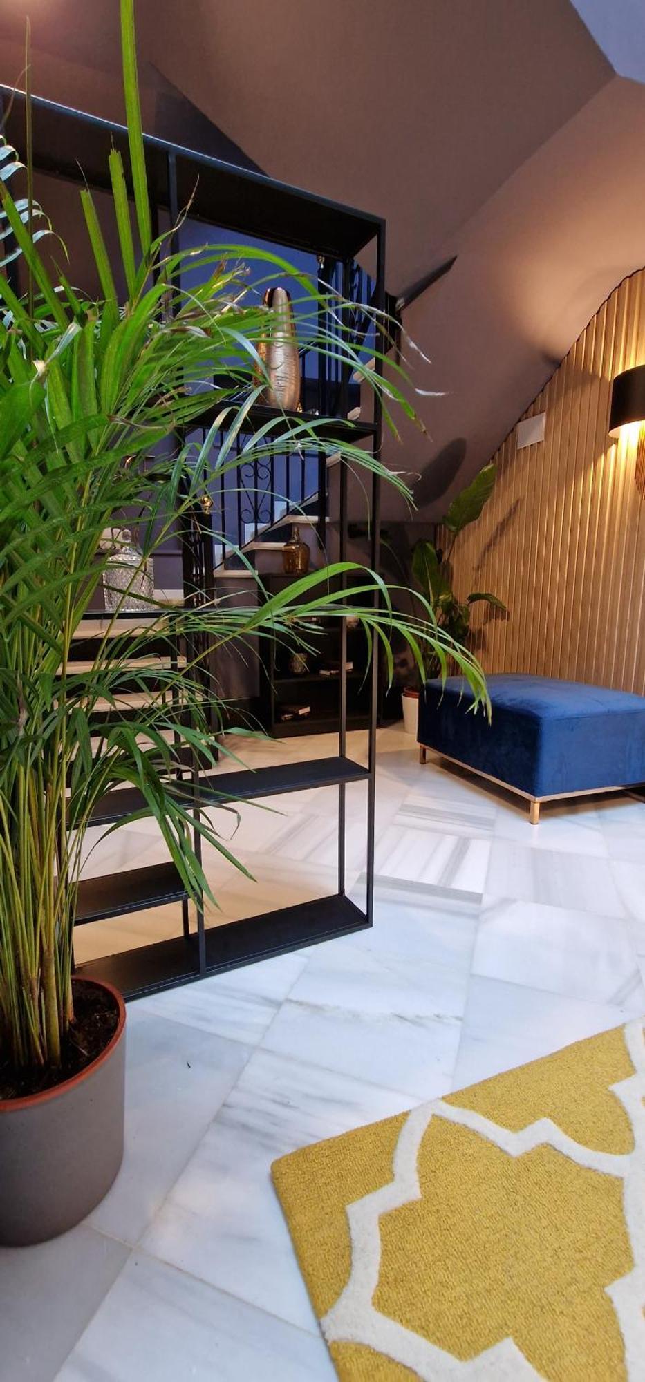 Boutique Suites 阿尔科斯-德拉弗龙特拉 外观 照片